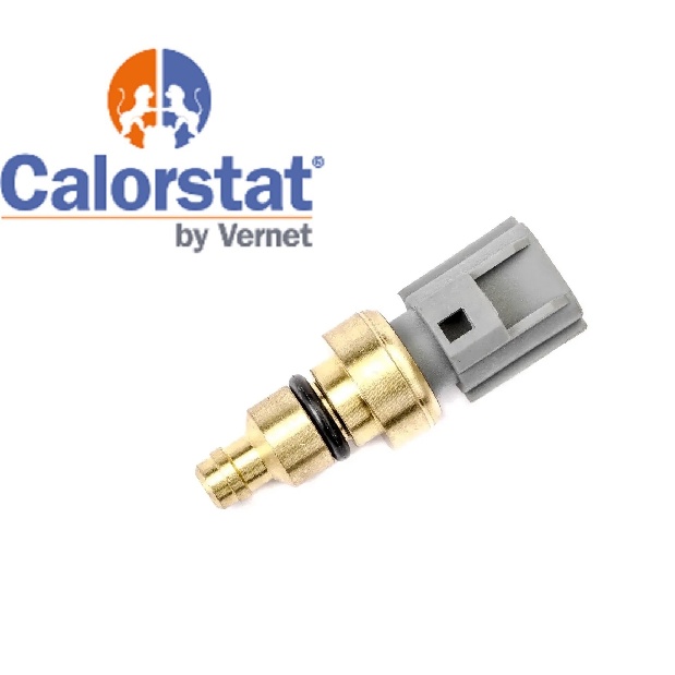 Sensor Temperatura Motor Ford Ecosport Fiesta Ka motores ROCAM 1.6 1.0